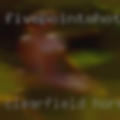 Clearfield, horny woman