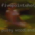 Pussy Woodland