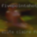 Sluts Claire fuck personals